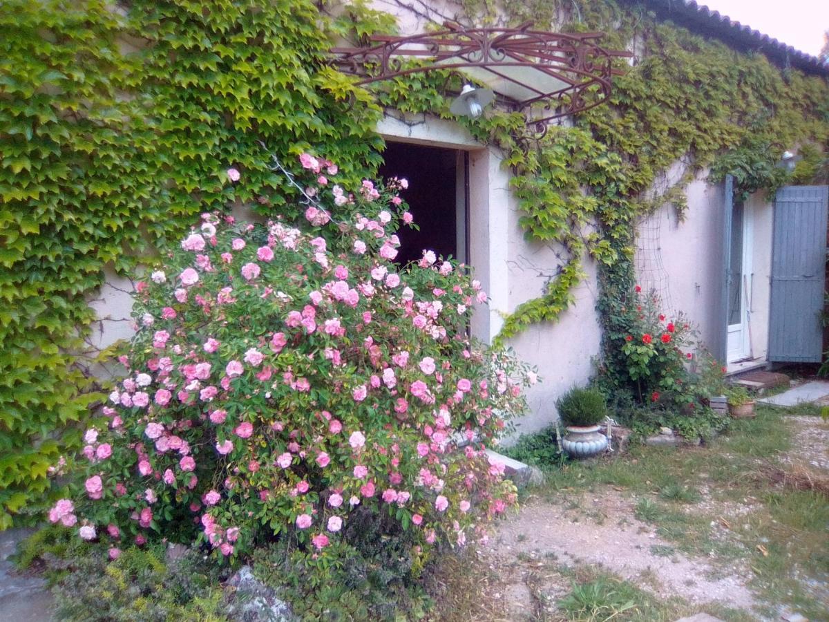 Bed and Breakfast Le Domaine De Belle LʼIsle-sur-la-Sorgue Exteriér fotografie